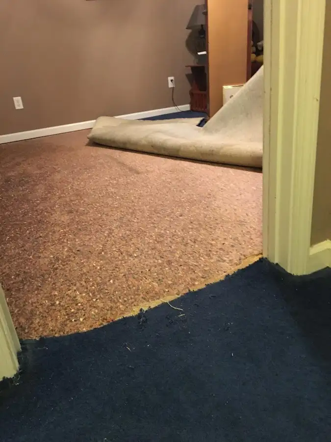 Carpet pad removal revealing water damage during Drying & Dehumidification in Clarence