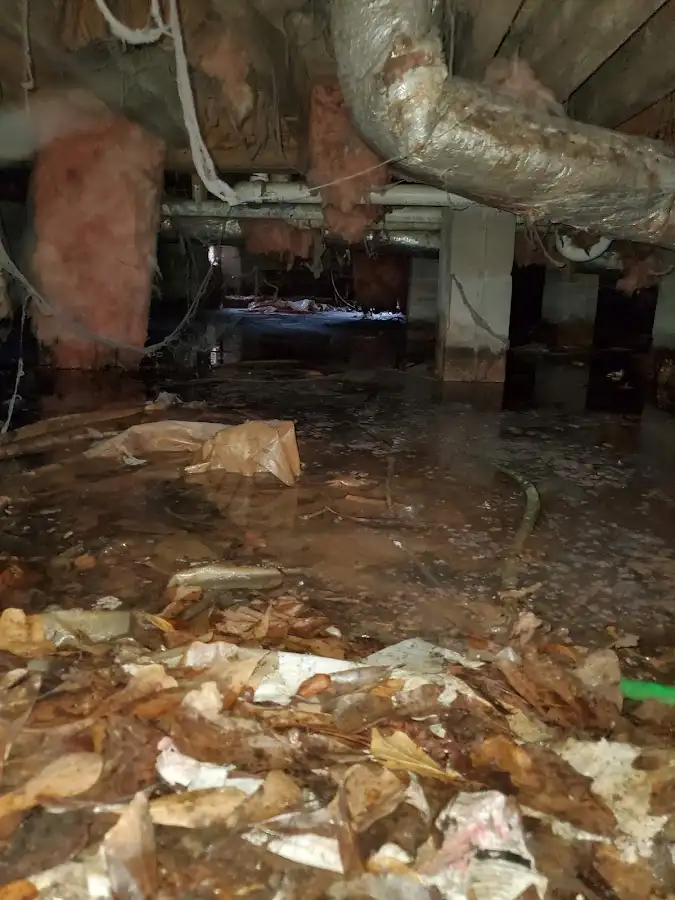 Crawl space flood assessment for Leak Detection & Repair in Clarence