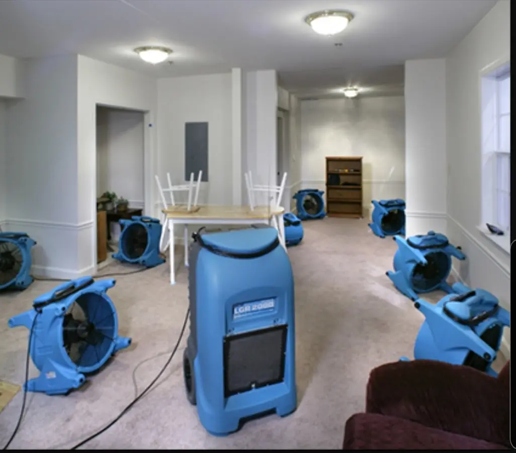 Air movers and dehumidifier setup for Water Extraction & Removal in Clarence