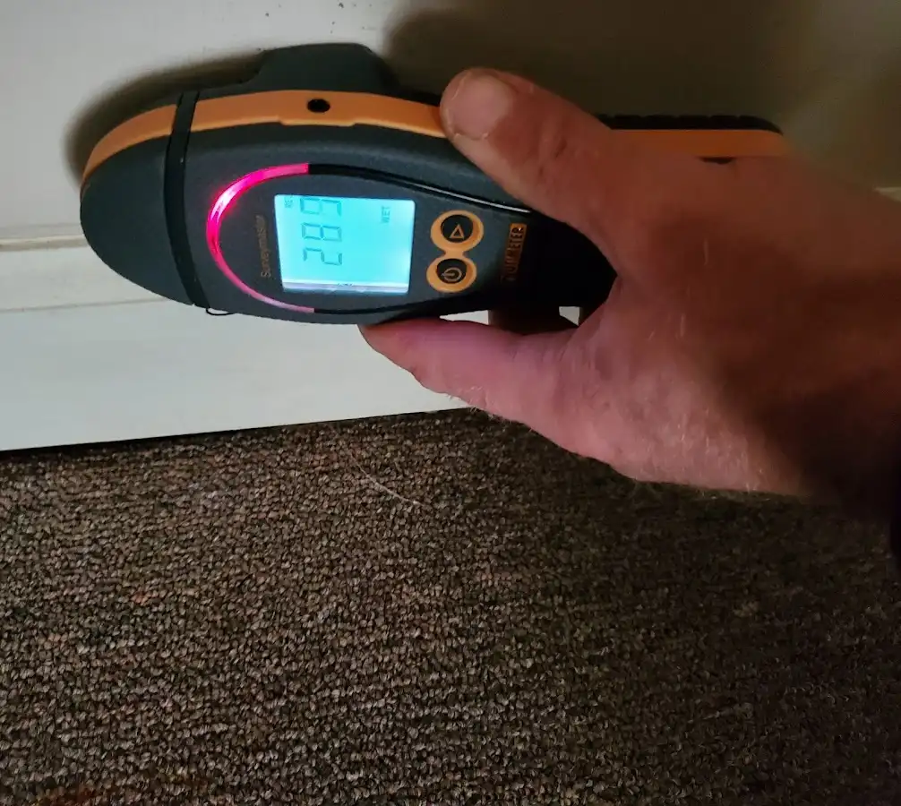 Moisture detection at baseboard during Mold Inspection & Testing in Clarence